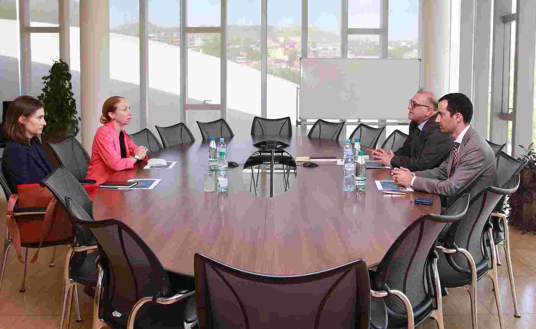 საქართველოს ეროვნული ბანკის პრეზიდენტი აშშ-ის ელჩს შეხვდა