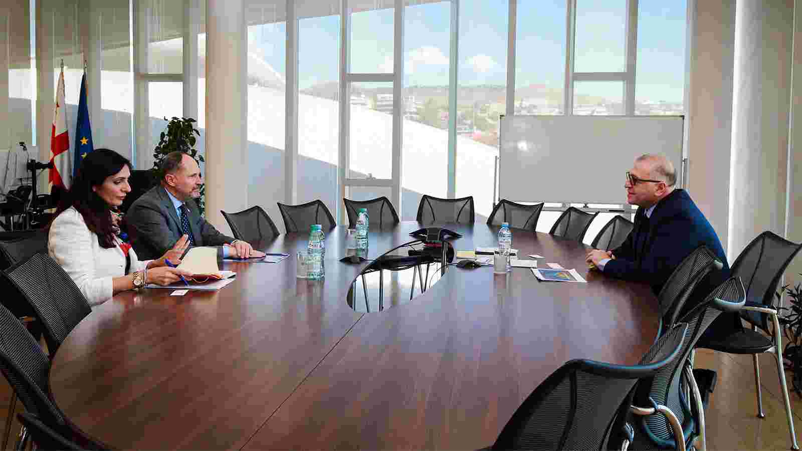 Koba Gvenetadze Meets with EU Ambassador Pawel Herczynski