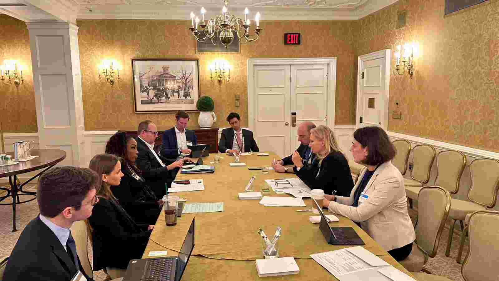 Natia Turnava Engages with Major International Investment Funds and American Investors