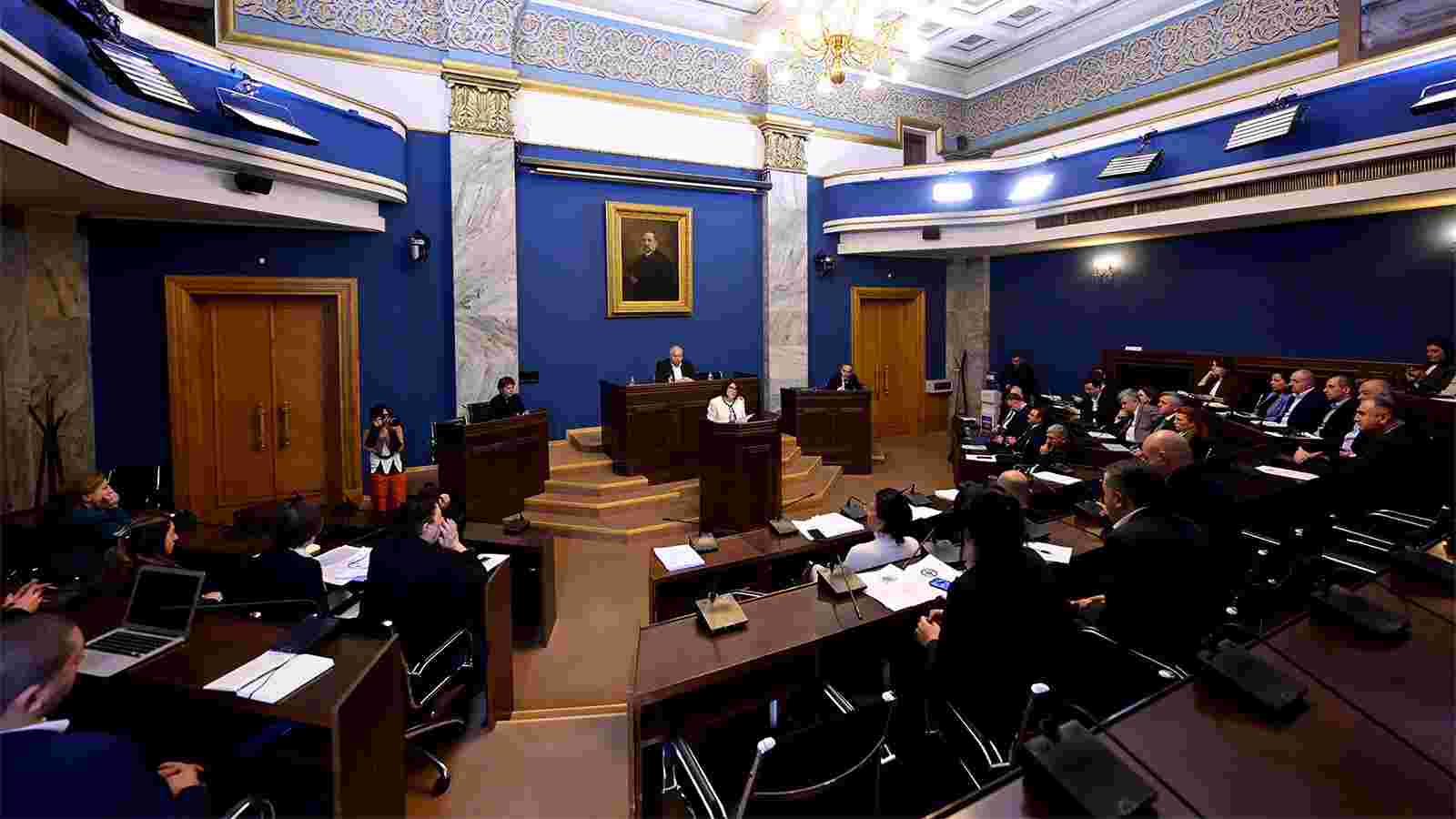 სებ-ის ვიცე-პრეზიდენტი ნინო ჯელაძე  საფინანსო-საბიუჯეტო კომიტეტზე სიტყვით გამოვიდა