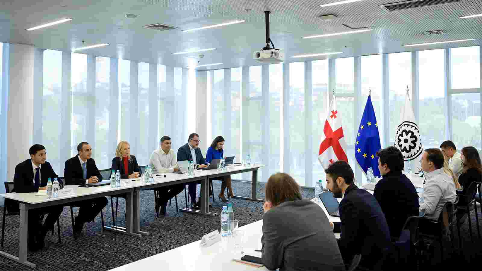 Natia Turnava Meets Representatives of Major American and European Investment Funds