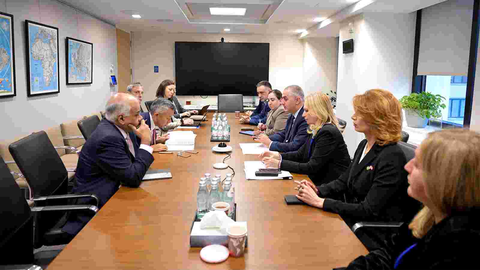 ნათია თურნავა და ლაშა ხუციშვილი საერთაშორისო სავალუტო ფონდის წარმომადგენლებს შეხვდნენ