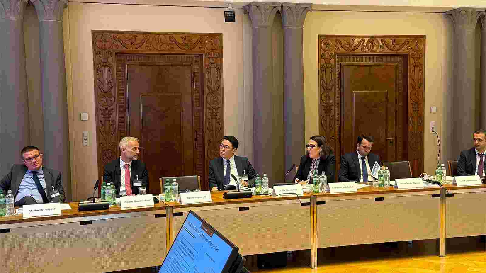 ეკატერინე მიქაბაძემ საერთაშორისო სავალუტო ფონდის მიერ ორგანიზებულ მაღალი დონის რეგიონულ ღონისძიებაში მიიღო მონაწილეობა