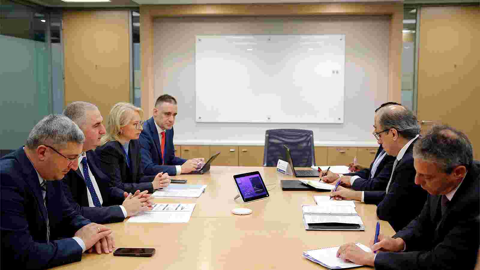 ნათია თურნავა საერთაშორისო სავალუტო ფონდის წარმომადგენლებს შეხვდა