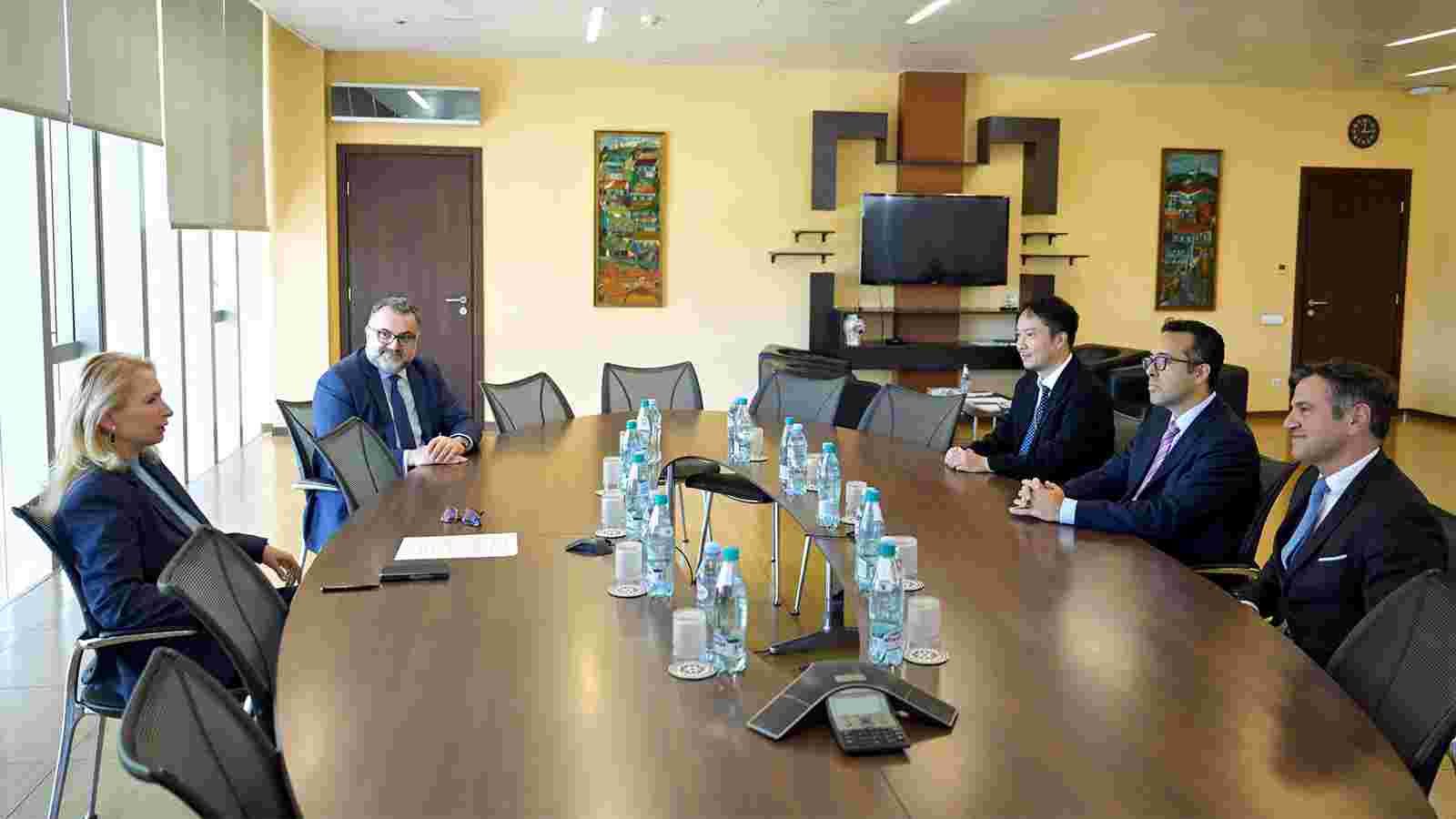 ნათია თურნავა მსოფლიო ბანკის RAMP-ის პროგრამის მისიას შეხვდა