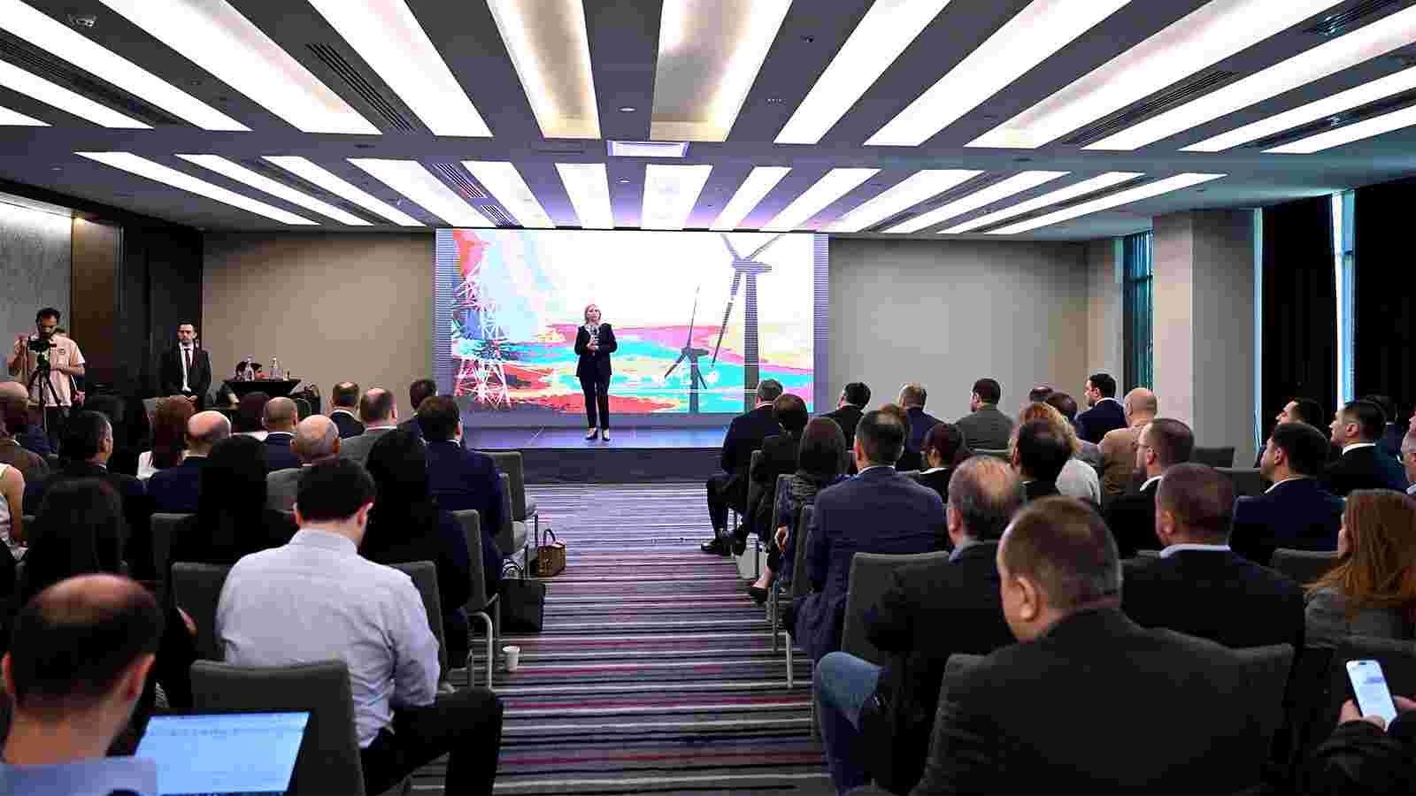 National Bank of Georgia Hosts Presentation on Energy Sector Research