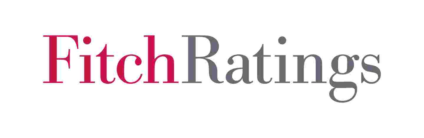 Fitch Ratings - საქართველოს პერსპექტივის სტაბილურამდე გაუმჯობესების მთავარი ფაქტორი საერთაშორისო სავალუტო რეზერვების ზრდაა