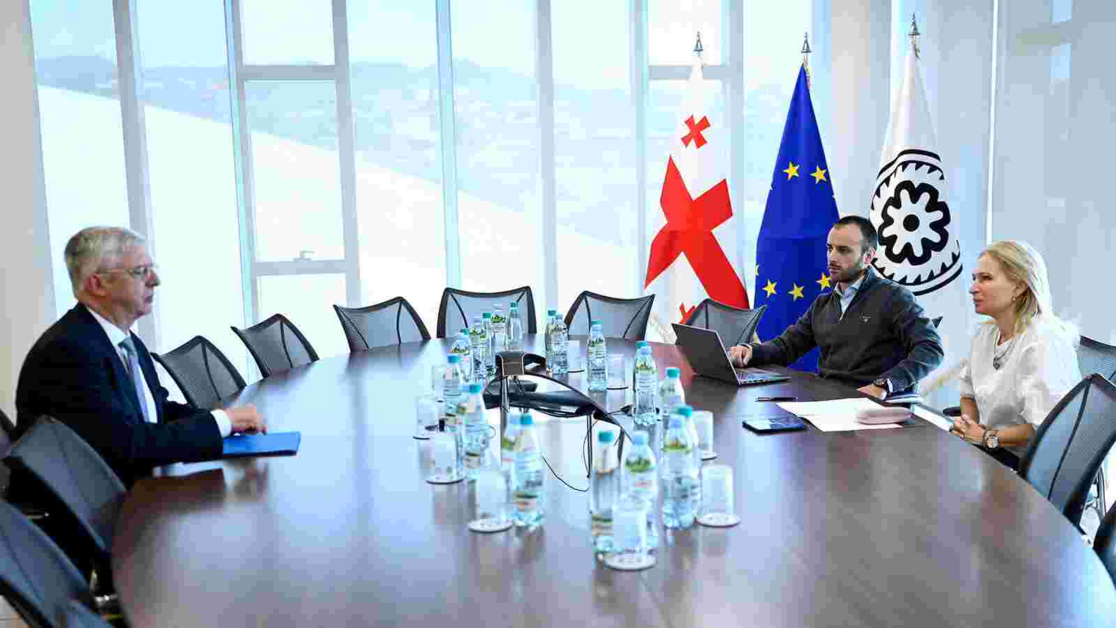 Natia Turnava Holds Meeting with IMF’s Alternate Executive Director