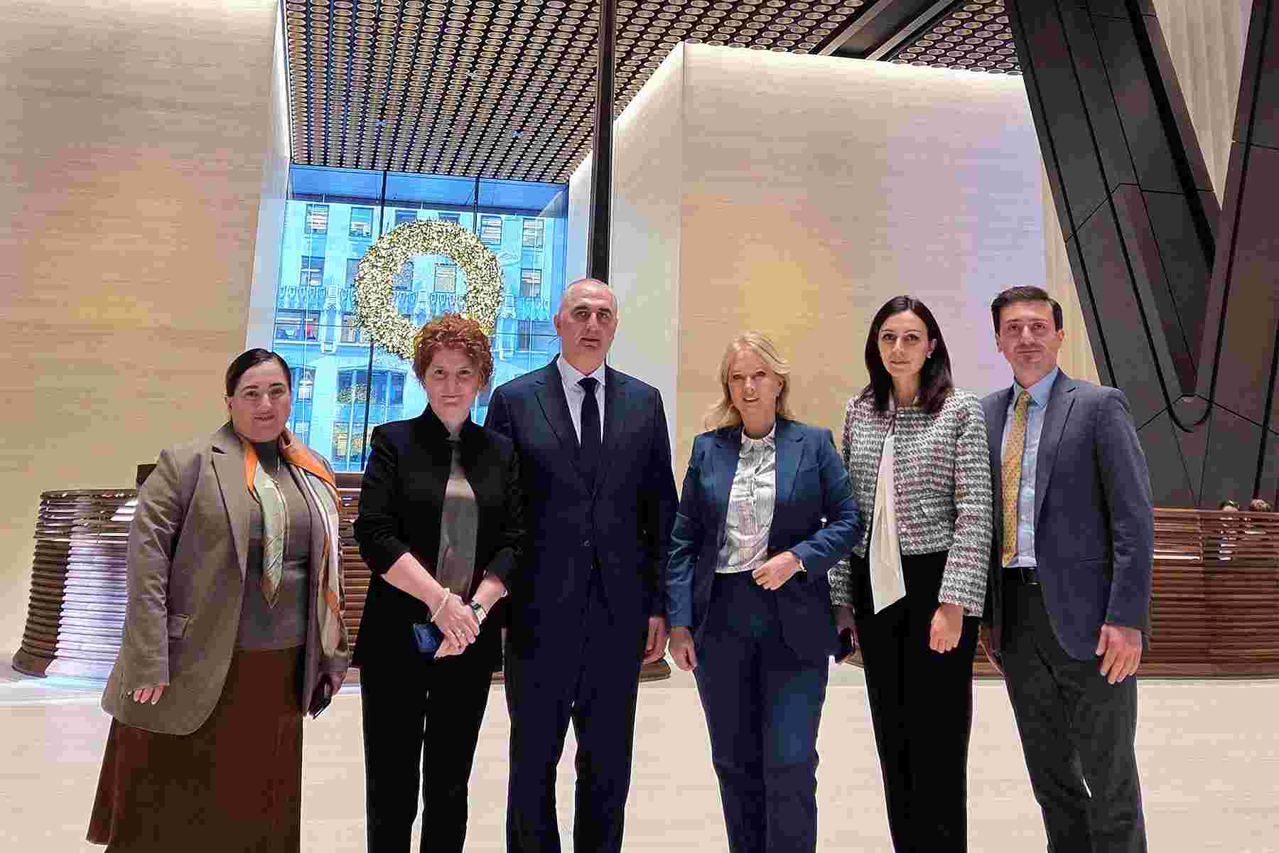 ნათია თურნავა და ლაშა ხუციშვილი აშშ-ში 15-მდე საინვესტიციო კომპანიას შეხვდნენ  