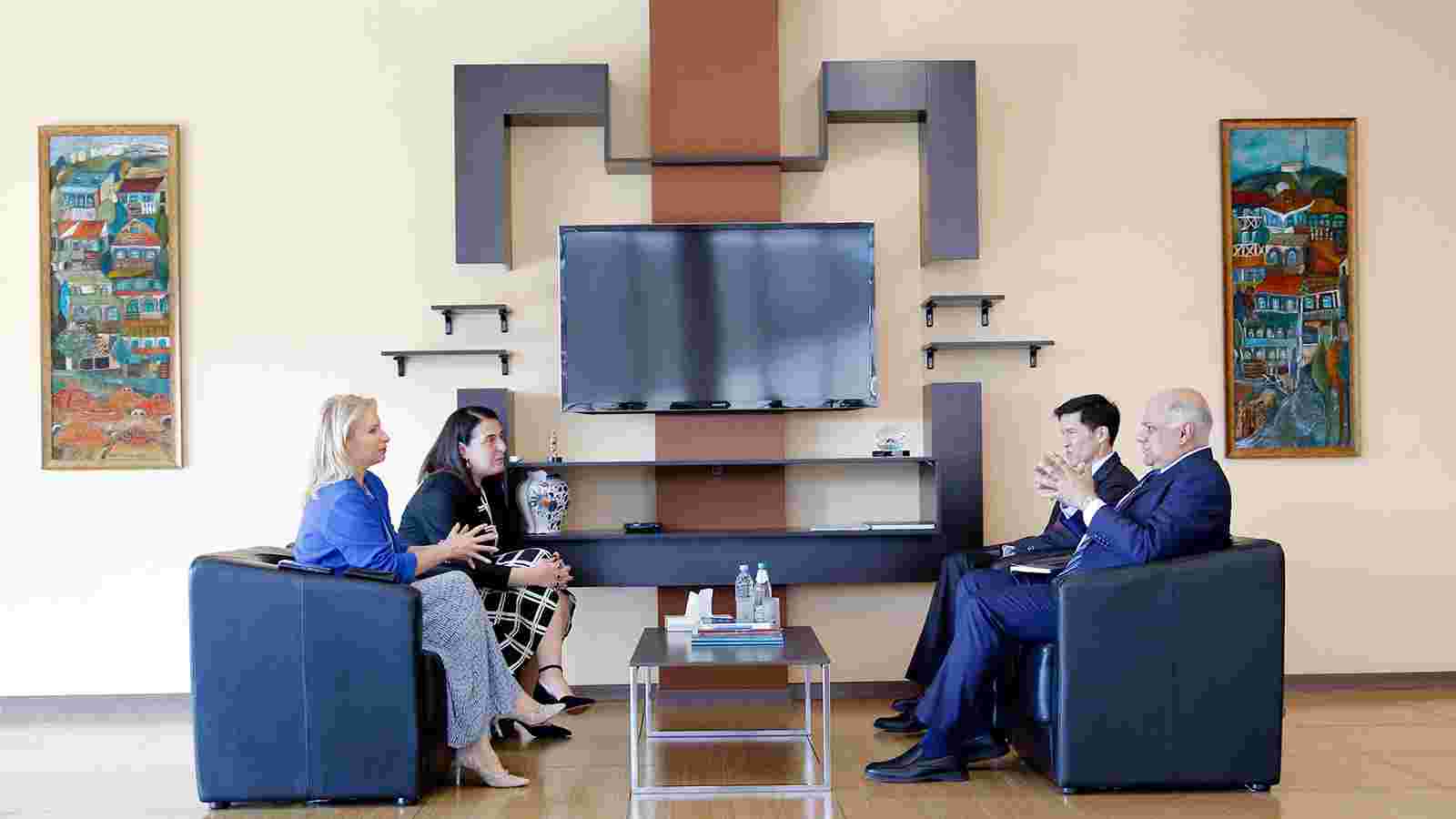 ნათია თურნავა სსფ-ის შუა აღმოსავლეთისა და ცენტრალური აზიის დეპარტამენტის დირექტორის მოადგილეს სუბირ ლალს შეხვდა