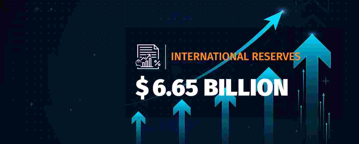 Gross International Reserves Reach a Historic High