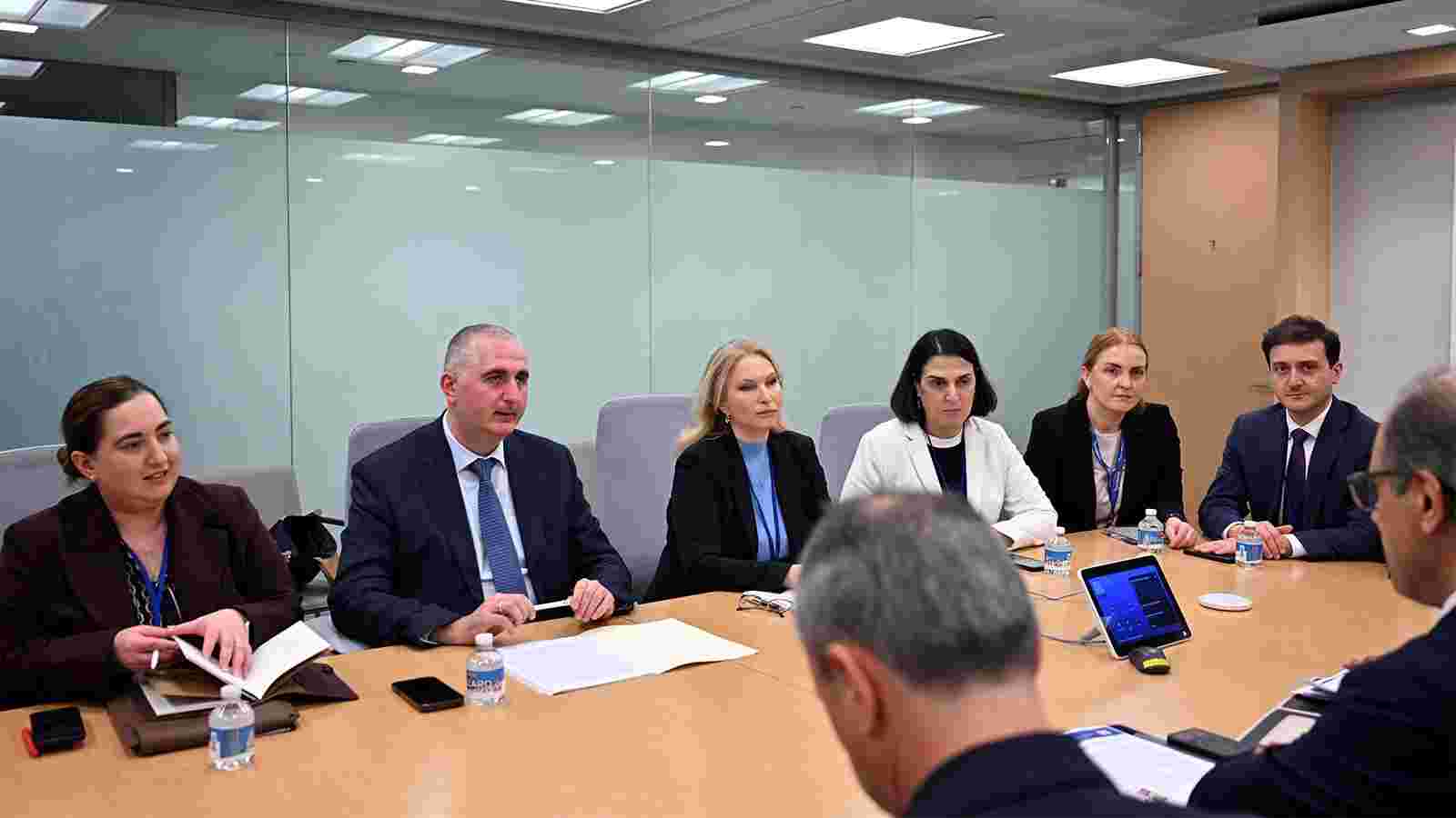 ნათია თურნავა საერთაშორისო სავალუტო ფონდის ახლო აღმოსავლეთისა და ცენტრალური აზიის დეპარტამენტის დირექტორს ჯიჰად აზურს შეხვდა