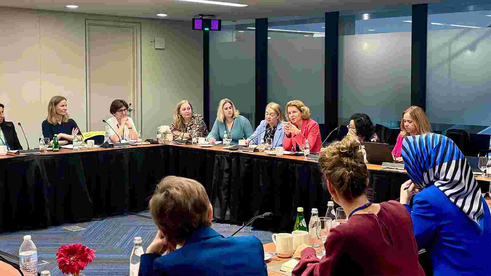 ეკატერინე გალდავამ შვედეთის, დანიისა და ფინეთის ცენტრალური ბანკების მიერ ორგანიზებულ შეხვედრაში მიიღო მონაწილეობა