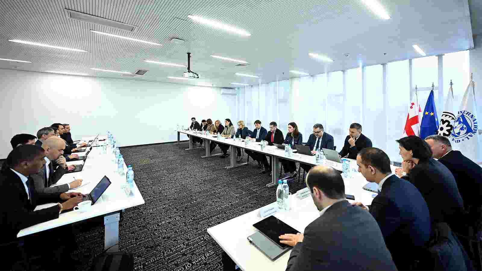 ნათია თურნავა საერთაშორისო სავალუტო ფონდის მისიას შეხვდა