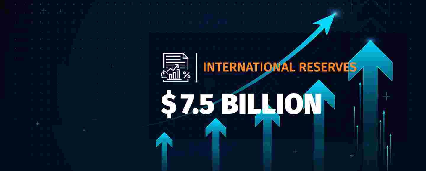 Gross International Reserves Reach a Historic High