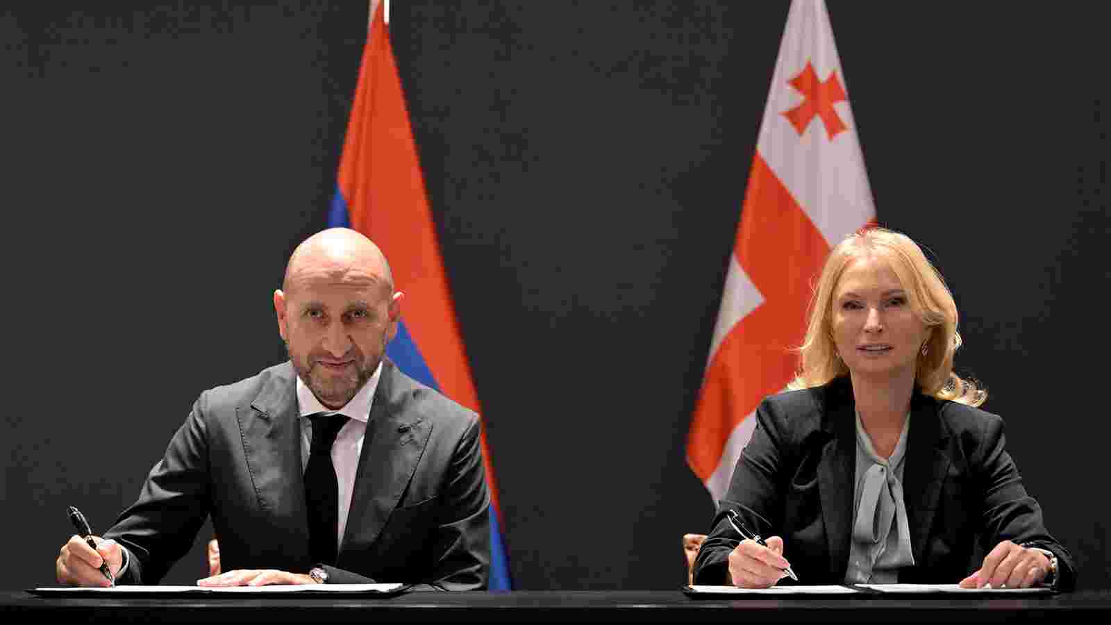 ნათია თურნავა სომხეთის ცენტრალური ბანკის პრეზიდენტს მარტინ გალსტიანს შეხვდა