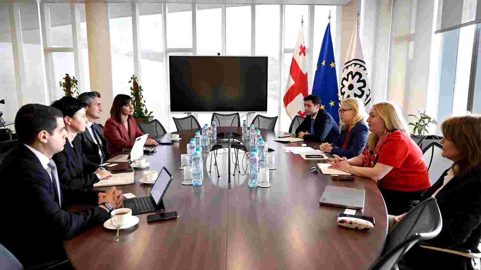 ნათია თურნავა Visa-ს რეგიონულ პრეზიდენტს შეხვდა