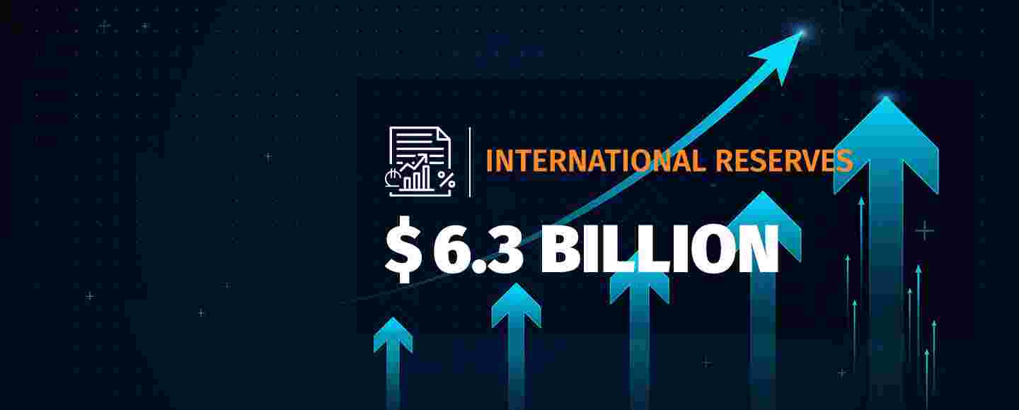 International Foreign Exchange Reserves Reach a Historic High