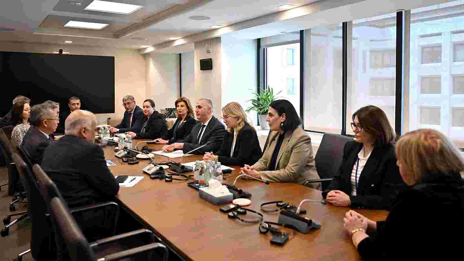 ნათია თურნავა საერთაშორისო სავალუტო ფონდის მმართველი დირექტორის მოადგილეს, ბო ლის შეხვდა