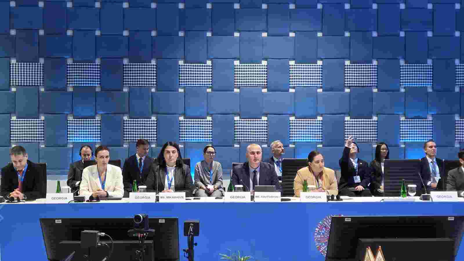 ეკატერინე მიქაბაძემ სსფ-ის და მსოფლიო ბანკის წლიური შეხვედრების ფარგლებში კავკასიისა და ცენტრალური აზიის მრგვალ მაგიდაში მიიღო მონაწილეობა
