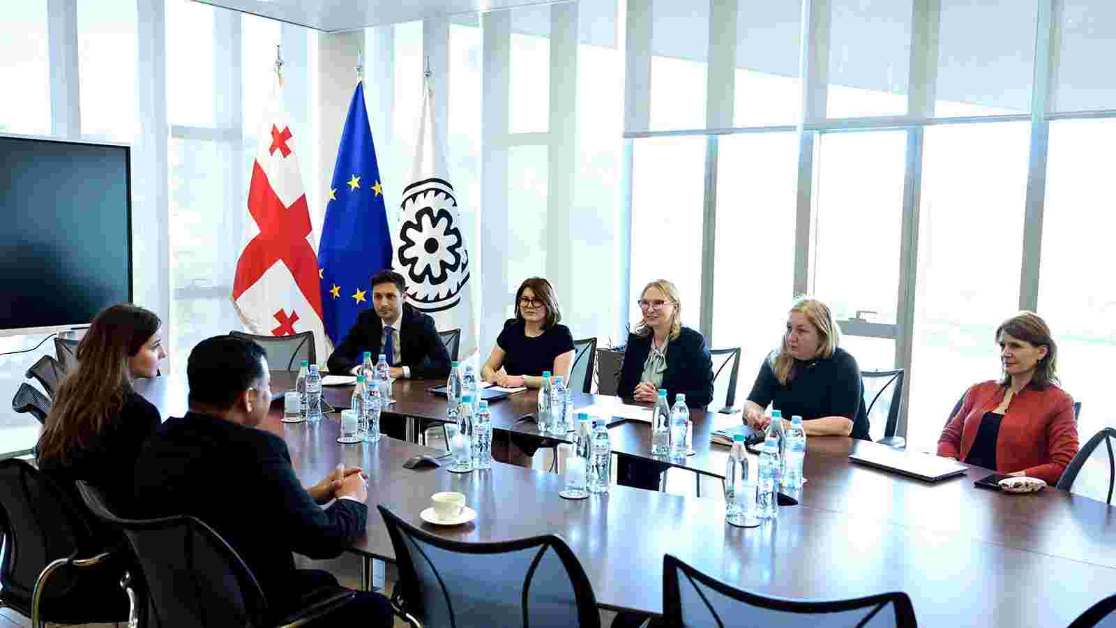 Natia Turnava Meets with India’s Newly Appointed Ambassador to Georgia