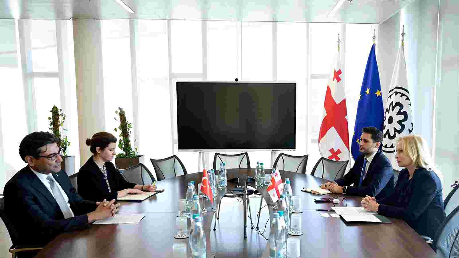 Natia Turnava Meets with the Ambassador of the Republic of Türkiye to Georgia, Mustafa Türker Arı