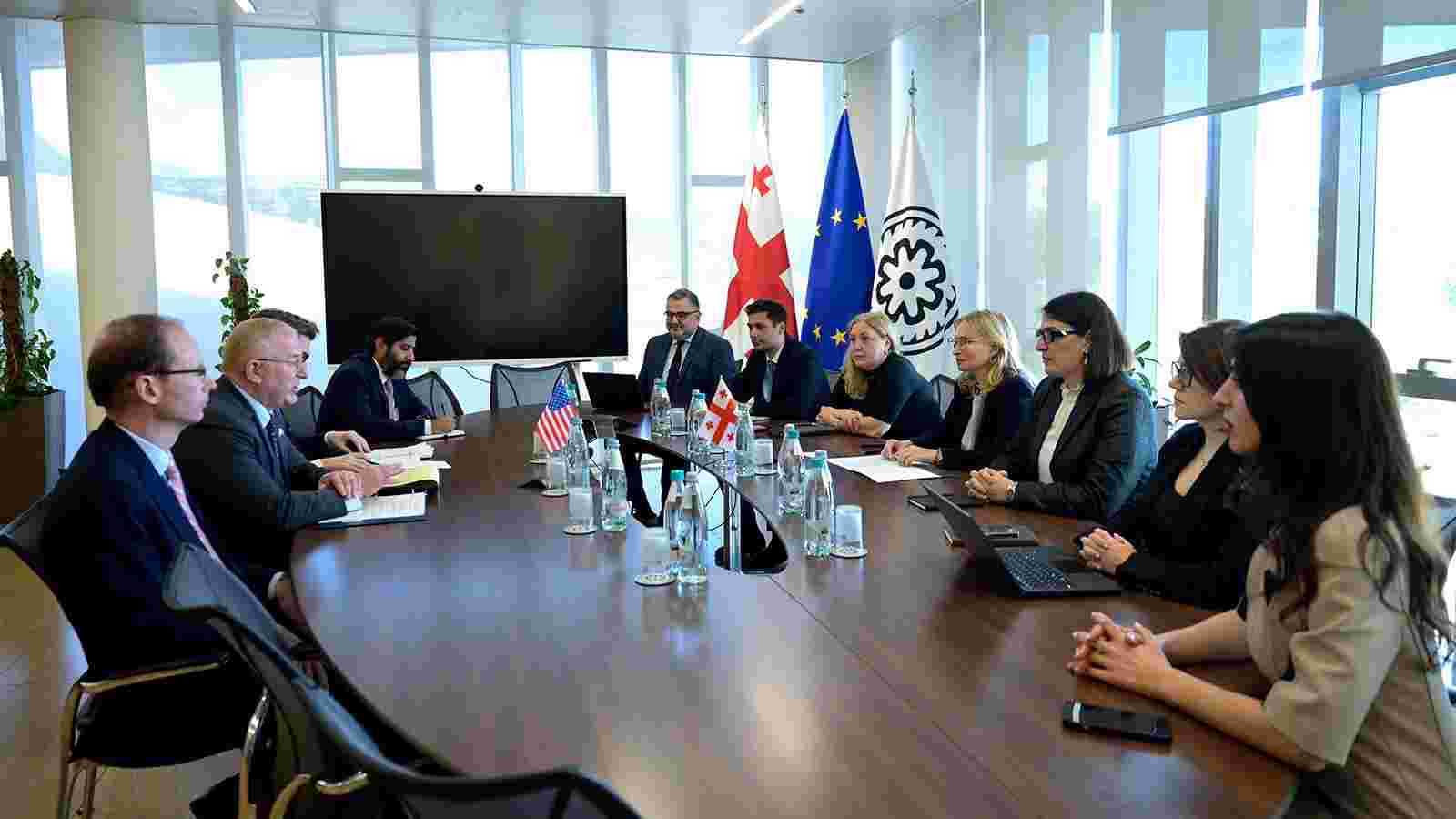 ნათია თურნავა აშშ-ის სახელმწიფო დეპარტამენტის დელეგაციას შეხვდა
