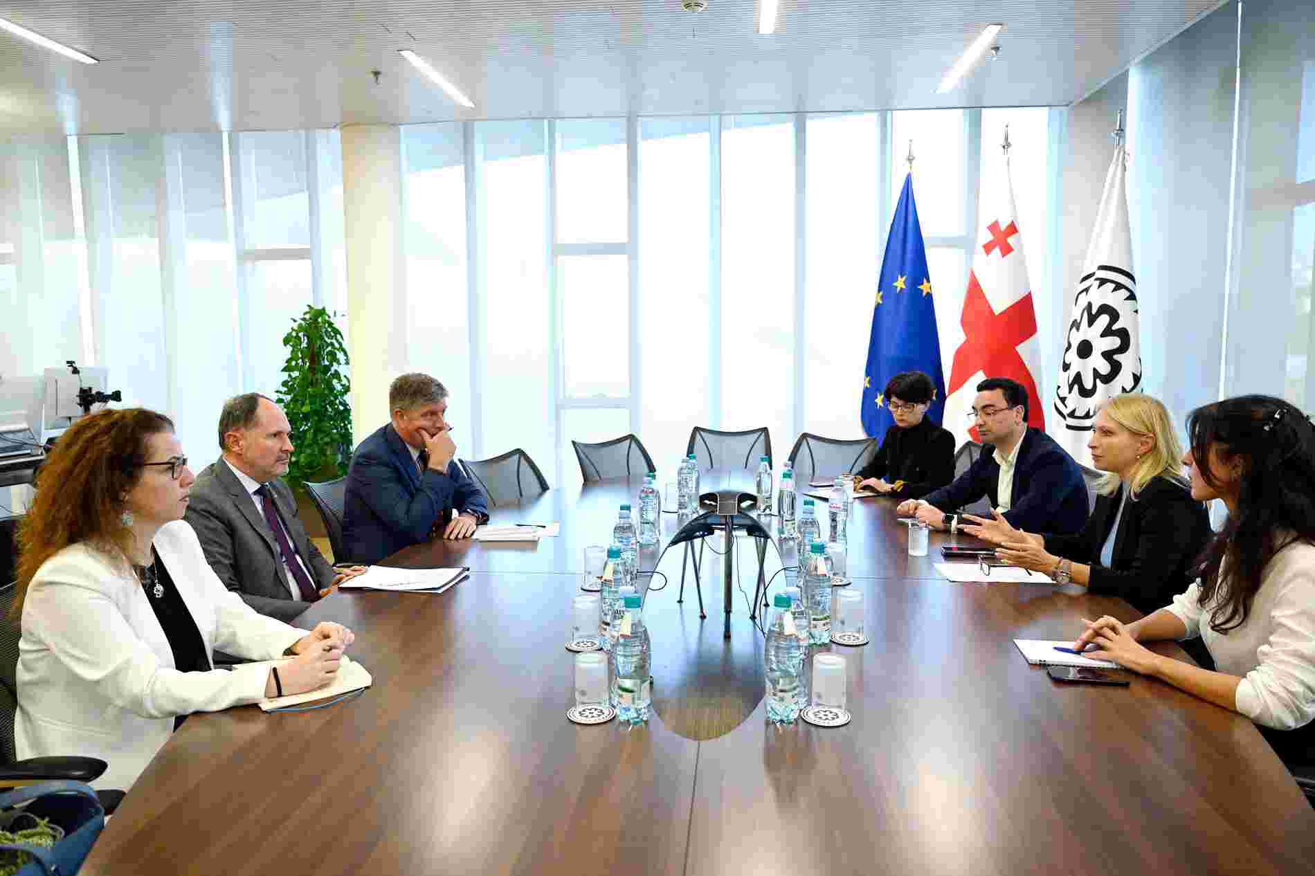 Natia Turnava Meets with EU Ambassador Paweł Herczyński